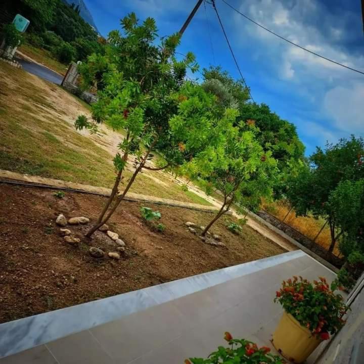 Calma Studios Parga Exteriör bild